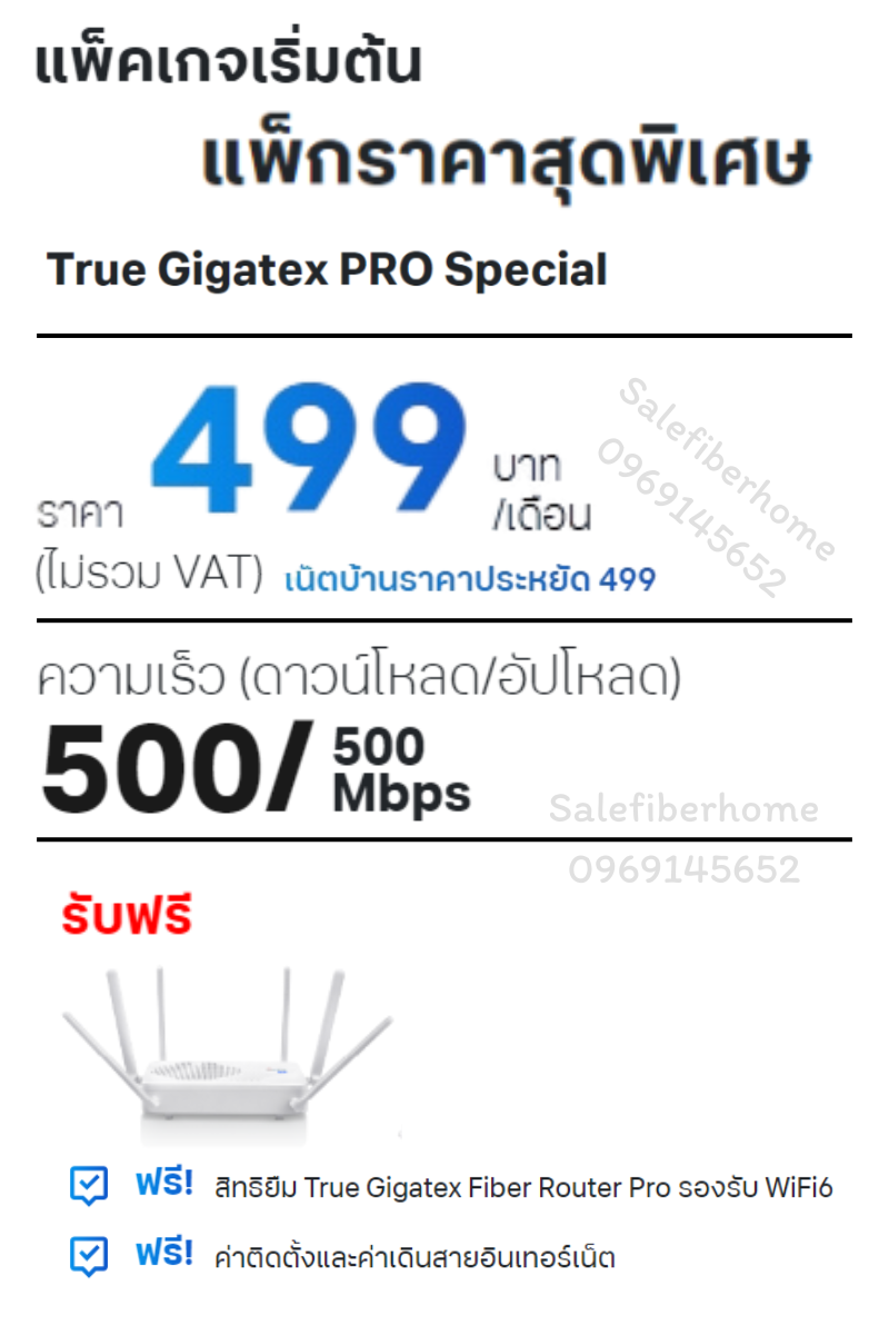 ติดเน็ตบ้านทรู ราคาประหยัด 499 สปีด 500/500 Mbps.