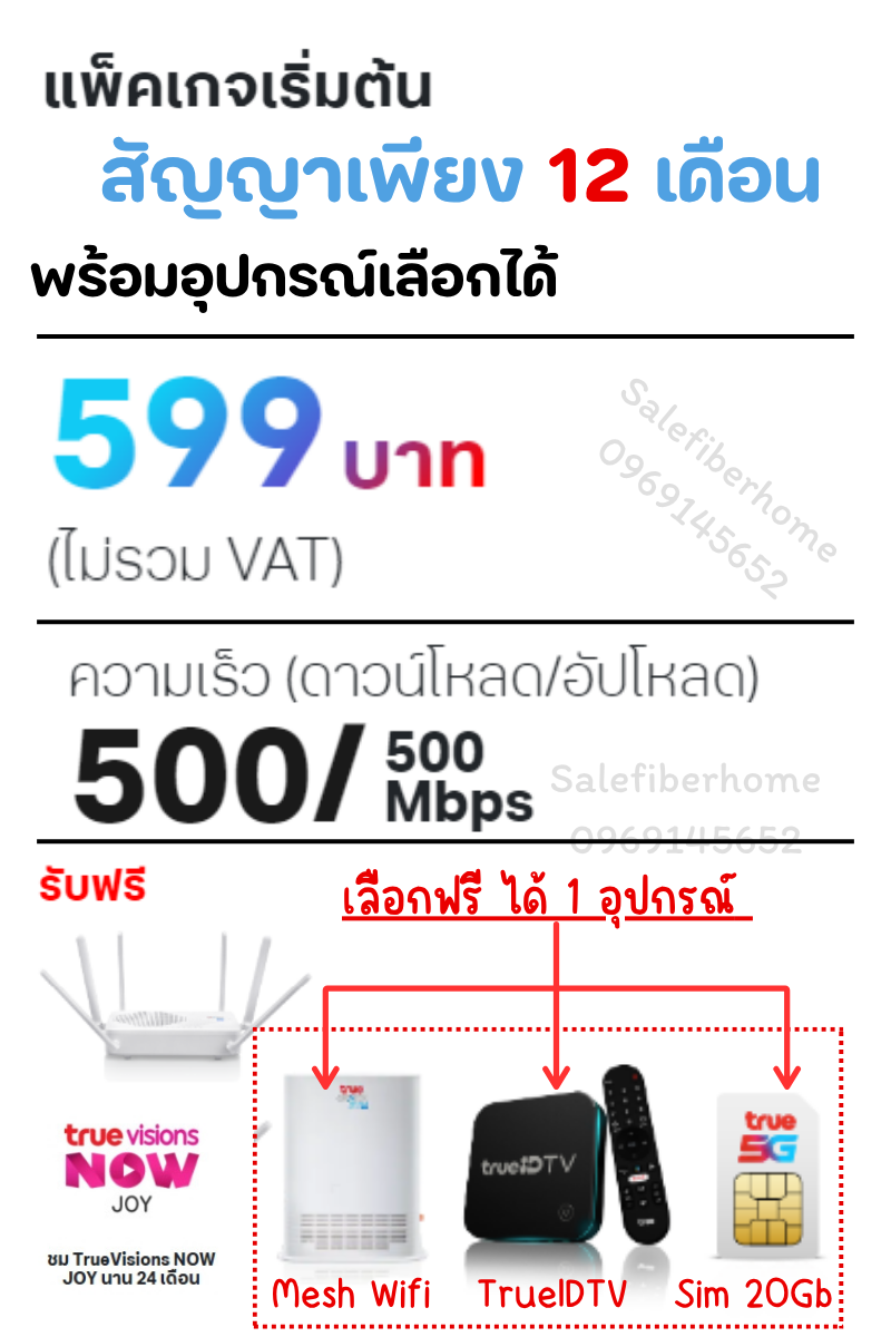 ติดเน็ตบ้านทรู เน็ตบ้านสัญญาน้อย อุปกรณ์ที่เลือกได้ สปีดที่ 500/500 Mbps.